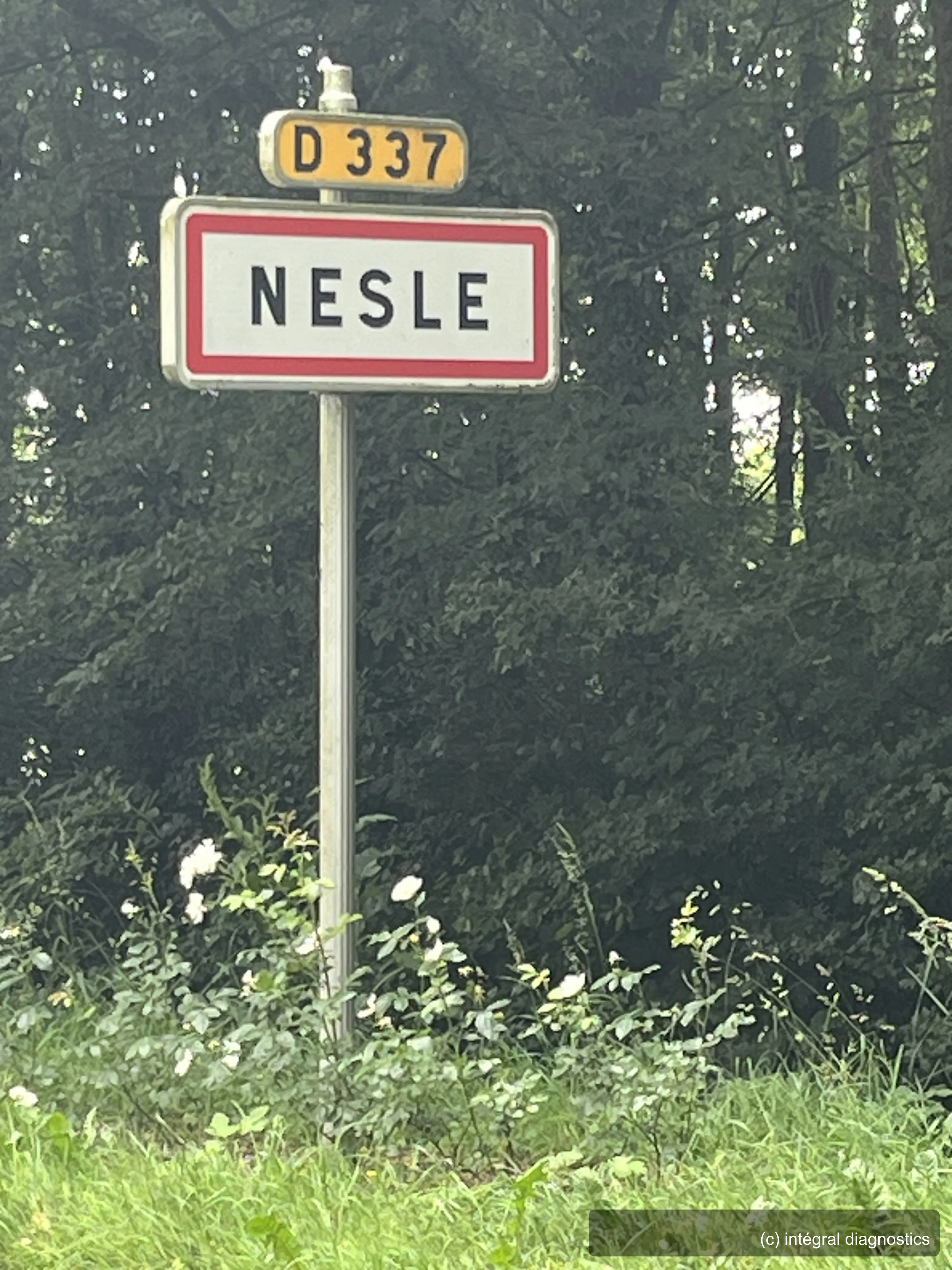 Nesle - vue 1